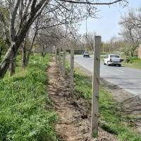 9-من-سردرختی-بر-خانقاه