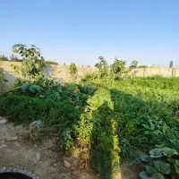 الماس-سرمایه-گذاری-زمین-ویلاباغ-زعفرانیه-تهراندشت