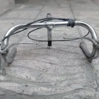 فرمون کورسی