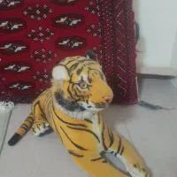 ببر سالم زیبا|اسباببازی|رباطکریم, شهرک درخشان|دیوار