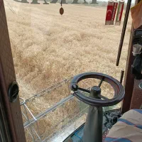 کمباین موتور جاندیر مهره دار تازه تعمیر