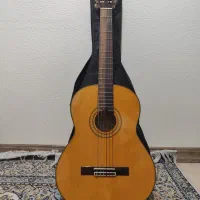 گیتار اریا Ak 25-n