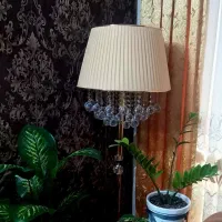 اباژور ایستاده کنار سالنی