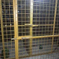 تعدادی کبوتربه همراه لانه جفت کن آهنی|پرنده|رشت, شهریاران|دیوار