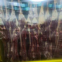 گوشت گرم گوساله گوسفندی|عمده‌فروشی|بهار, |دیوار