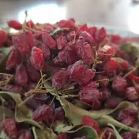 زرشک پفکی درجه یک