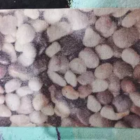 پادری|پادری|کرمان, |دیوار