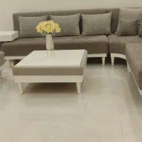 مبل راحتی 9نفره به خریدار واقعی تخفیف داده میشود