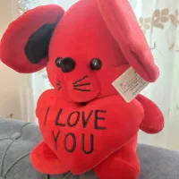 عروسک زیبا|اسباب‌‌بازی|گرگان, |دیوار