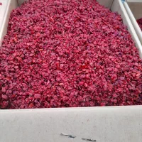 زرشک اصل قائنات