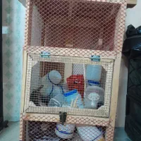 قفس چوبی محکم