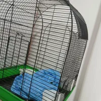 قفس|لوازم جانبی حیوانات|رشت, کوی جام جم|دیوار