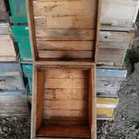 کندو زنبور عسل|حیوانات مزرعه|سنندج, |دیوار