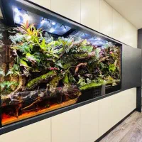 اجرای تخصصی دیوارسبز،پالوداریوم(پالاداریوم)