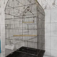 قفس عروس طوطی