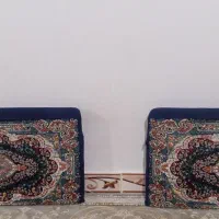 دوعدد پشتی نو