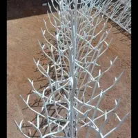 تولید شاخ گوزنی|خدمات پیشه و مهارت|تبریز, |دیوار