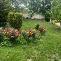 فروش-زمین-210-متری-بلوار-دیلمان-امام-علی