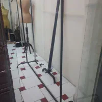 دو عدد رگال سالم و محکم