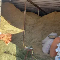 فروش کاه گندم 22000هزار تومان