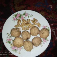 گردوعنصرود