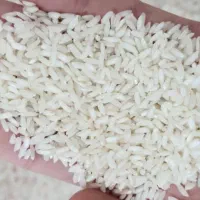 برنج عنبر بو اعلا یکدست شوشتر