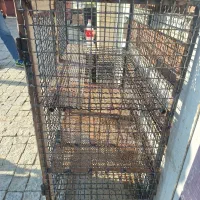 جفت کنی کفتر یک در یک عمق ۵۵ مناسب پرنده|لوازم جانبی حیوانات|صفادشت, |دیوار