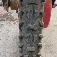 کفش|کیف، کفش، کمربند|سنقر, |دیوار