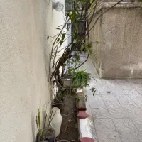 چسب-متروبریانک140متربنادر2طبقه-ونیم-حیاطدار