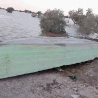 قایق‌چالوسی