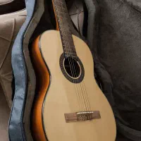 گیتار ak30n