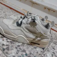 سه جفت کفش نو|کیف، کفش، کمربند|دزفول, |دیوار