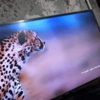 تنظیم و نصب انتن هوای و نصاب تلویزیون