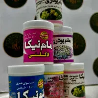 مام نیکا