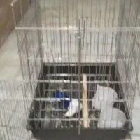 فروش دو قفس