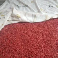 زرشک تازه نیمه خشک|خوردنی و آشامیدنی|میمه, |دیوار