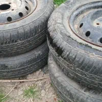 یک جفت رینوپلاستی ۱۳