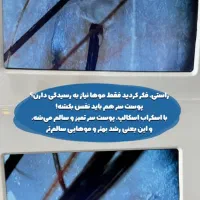 کراتین و اسکراپ اسکالپ|خدمات آرایشگری و زیبایی|اصفهان, فیض|دیوار
