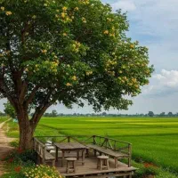 ساختمان ۵طبقه یکجا/جنوبی۲۰۶متر/کلید نخورده/خام