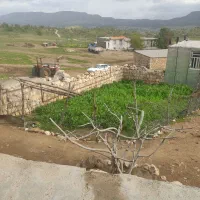کار وژمونی