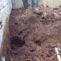 فروش پهن خشک گاو کهنه در کیسه