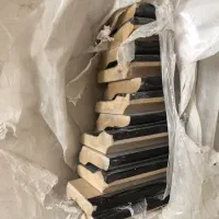 قرنیز ۷ سانت رنگ ونگه تعداد۱۲ شاخه اکبند