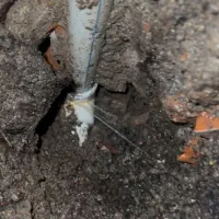 نشتیابی تصویری اکوستیک