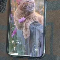 ایفون ۱۶ پرومکس