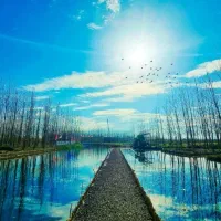 ویلایی مجهز،مکانی دنج|فروش خانه و ویلا|وحیدیه, |دیوار