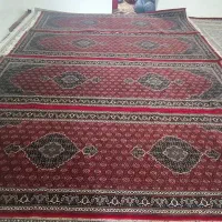 قالی|فرش|پاوه, |دیوار