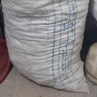 نان خشک