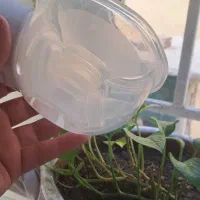 شیردوش|اسباب و اثاث بچه|تهران, امیریه|دیوار