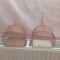 قفس تله تکی سهره|لوازم جانبی حیوانات|بجنورد, |دیوار