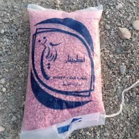 بذر گندم آبی میهن اشنویه بوجاری شده و آماده کاشت